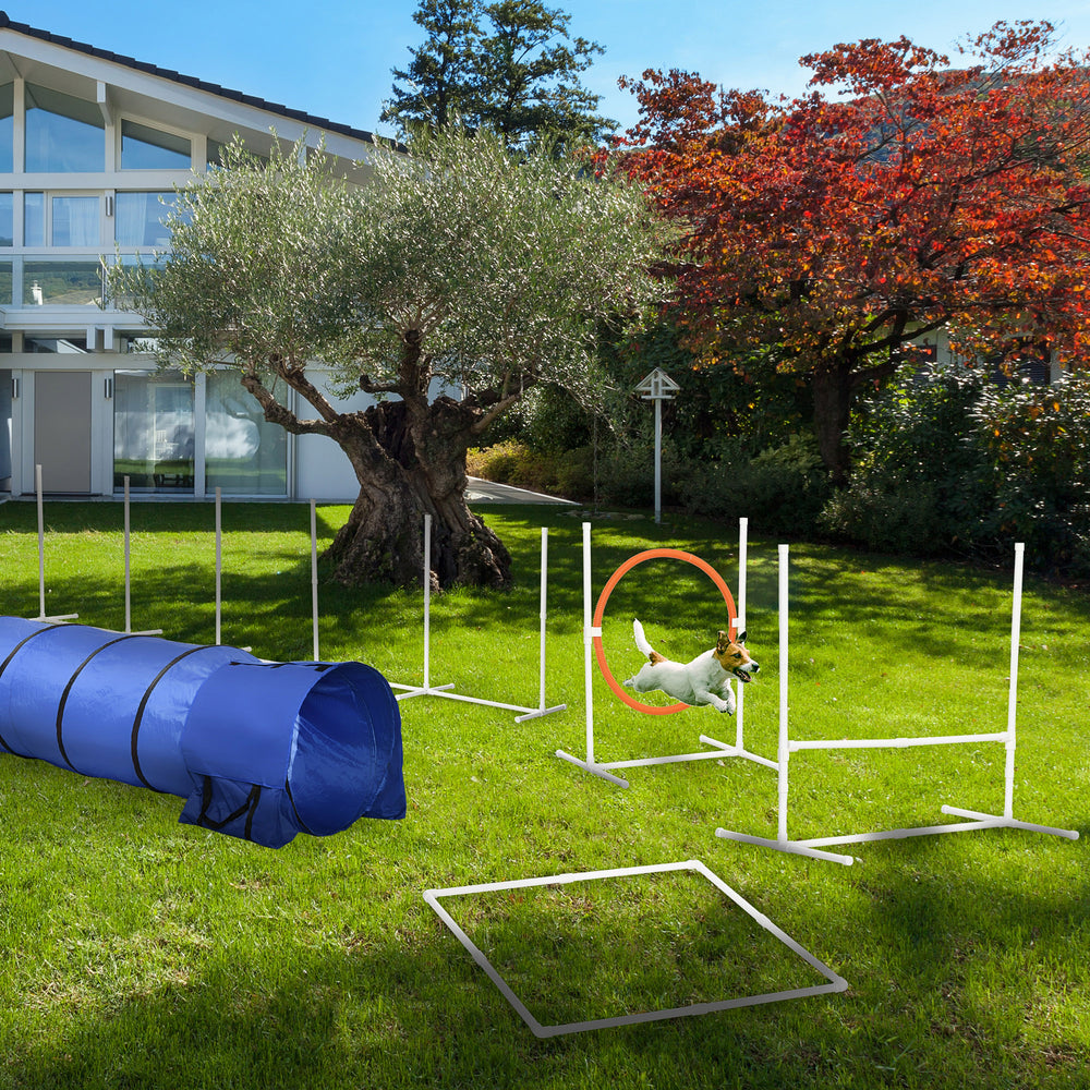 Kit d'entraînement d'agilité pour chien 5 pièces