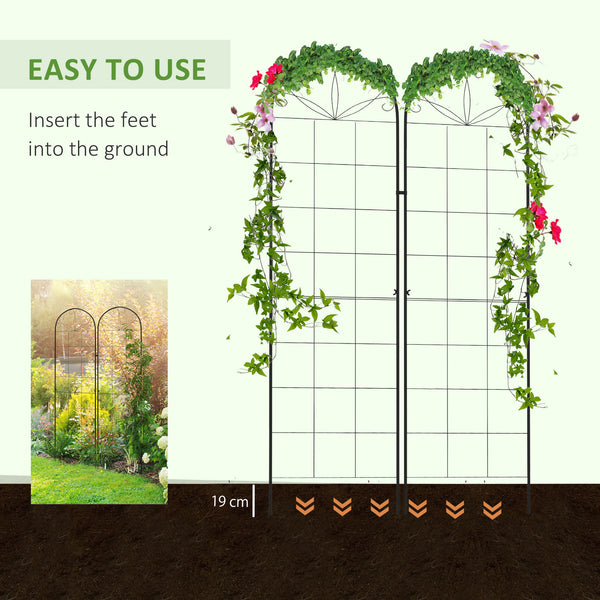 Lot de 2 treillis de jardin pour plantes grimpantes