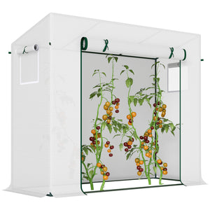 Garden greenhouse with steel frame, door and window