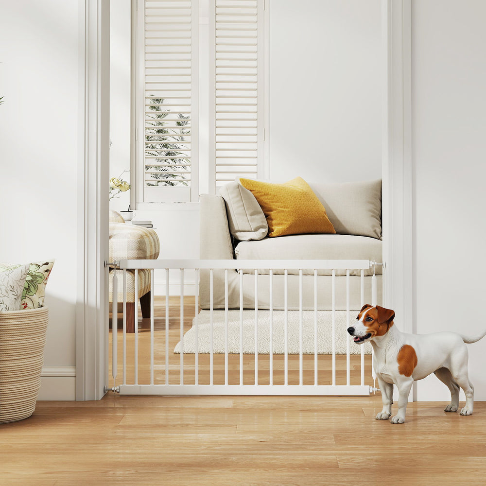 Barrière pour chien, blanche
