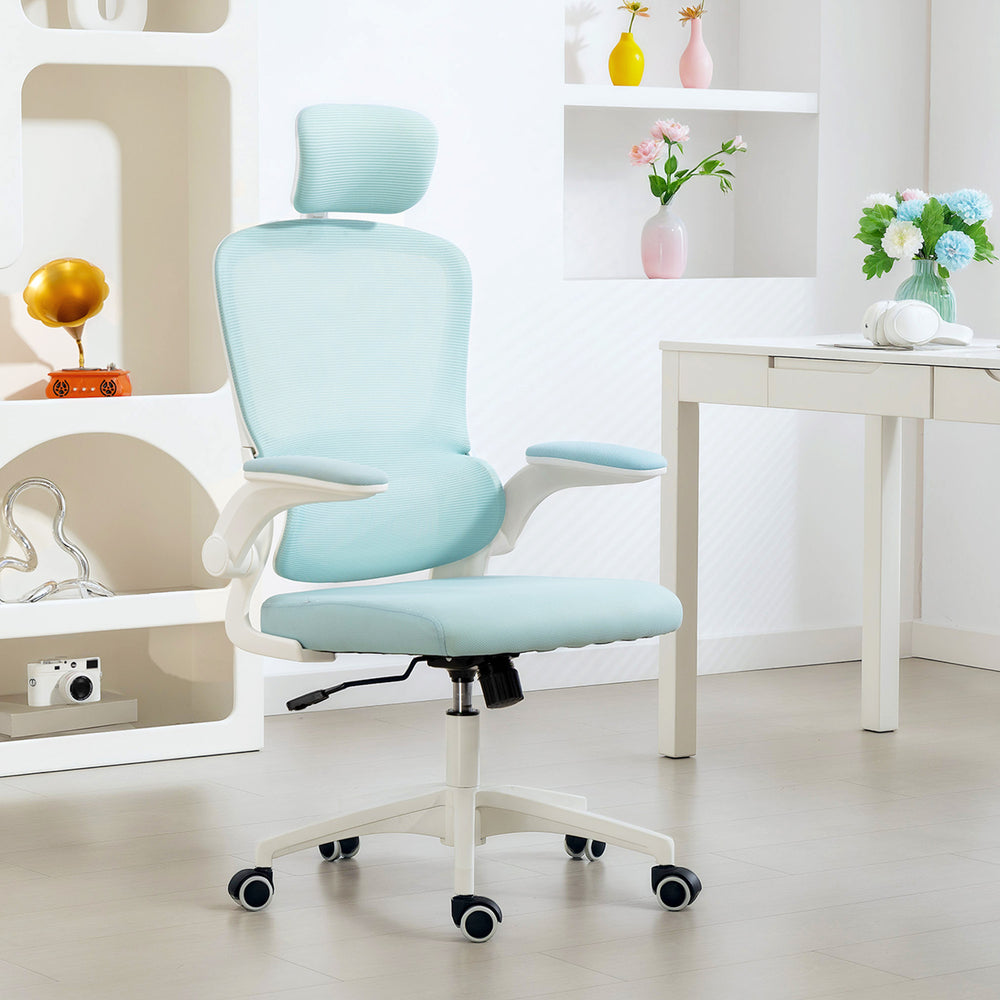 Chaise de bureau ergonomique en maille avec soutien lombaire, bleu/vert