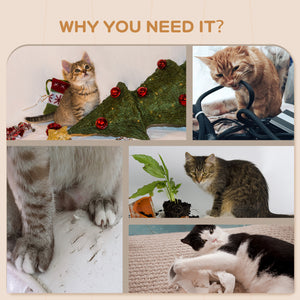 Étagères murales pour chat avec marches, griffoirs, échelle, plateformes et balles