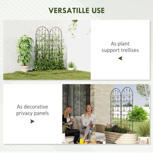 Ensemble de 2 treillis de jardin en métal, noir