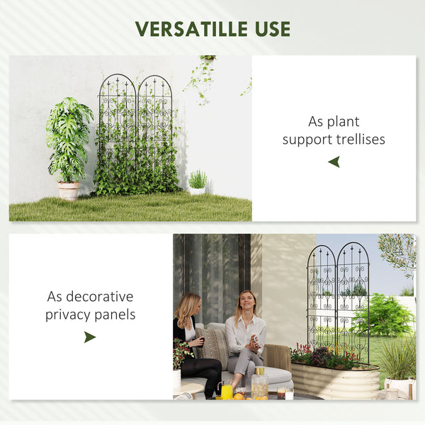 Ensemble de 2 treillis de jardin en métal, noir