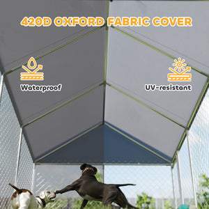 Chenil en acier galvanisé avec toit et verrou de sécurité