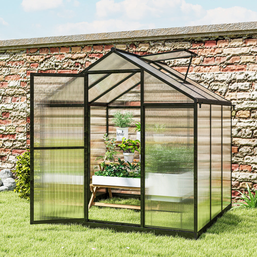 Serre de jardin gris anthracite 6 x 8 pieds, avec panneaux en polycarbonate et cadre robuste en aluminium