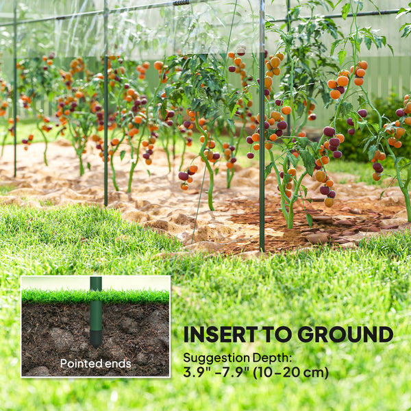 Serre tunnel à tomates avec 4 arceaux
