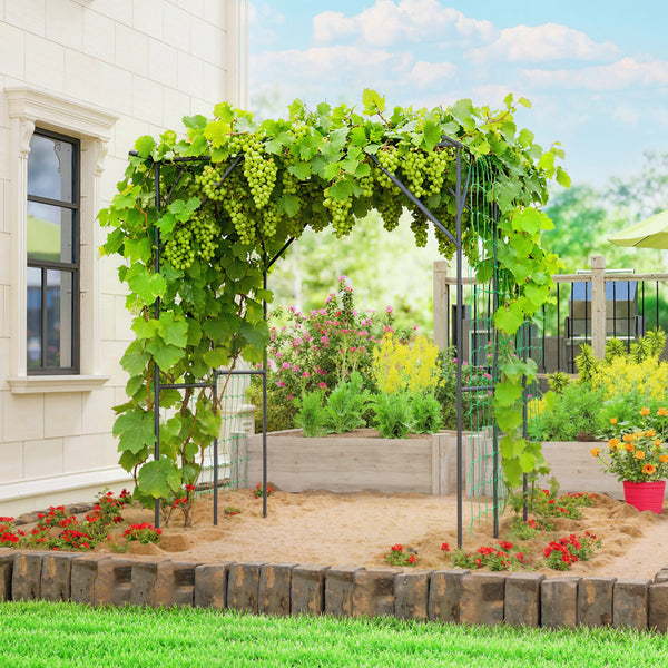 Metal garden arch with netting for climbing plants