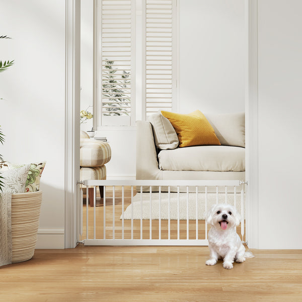 Barrière pour chien, blanche