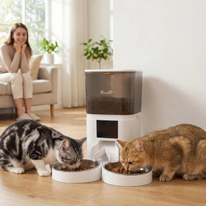 Automatic kibble dispenser with control app and 10-second voice recorder
