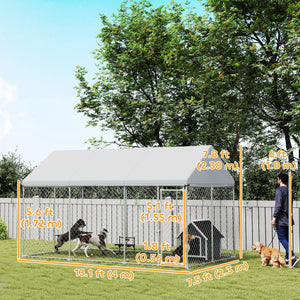 Chenil en acier galvanisé avec toit et verrou de sécurité