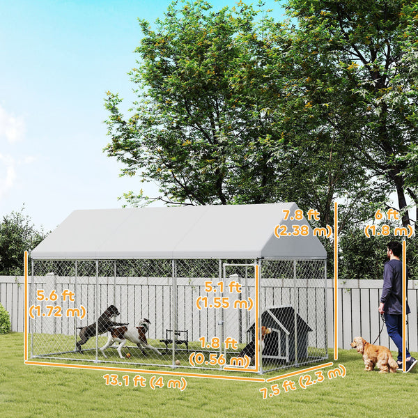 Chenil en acier galvanisé avec toit et verrou de sécurité