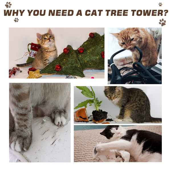 Arbre à chat géant de 240 à 250 cm, hauteur plafond, griffoir, centre d'activités, marron