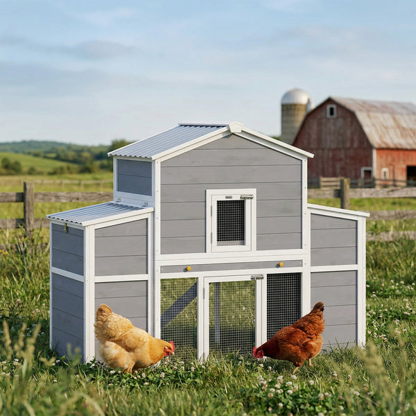 Wooden chicken coop with 2 nesting boxes, a pull-out tray, and a ramp