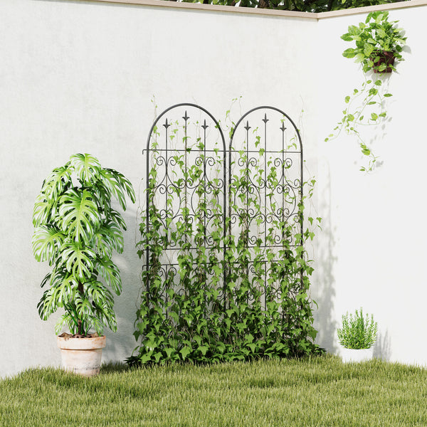 Ensemble de 2 treillis de jardin en métal, noir