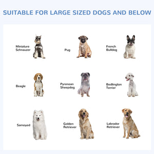 PawHut Dog Kennel Outdoor Run Fence with Roof, Steel Lock, Mesh Sidewalls for Backyard &amp; Patio, 9.8' x 9.8' x 7.7' |