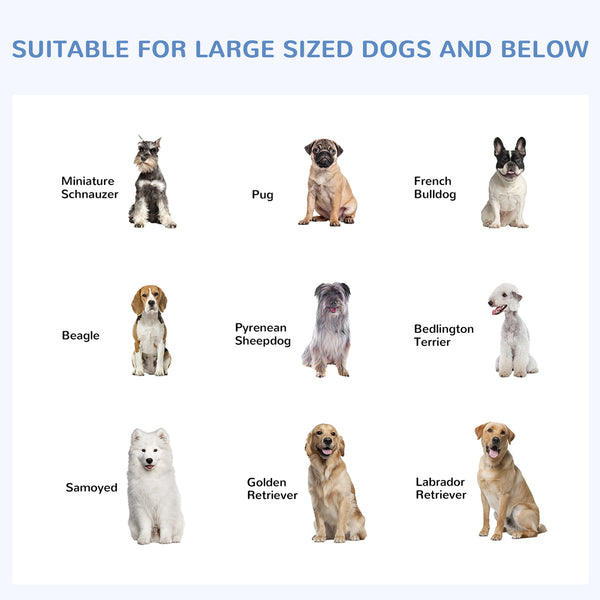 PawHut Dog Kennel Outdoor Run Fence with Roof, Steel Lock, Mesh Sidewalls for Backyard &amp; Patio, 9.8' x 9.8' x 7.7' |