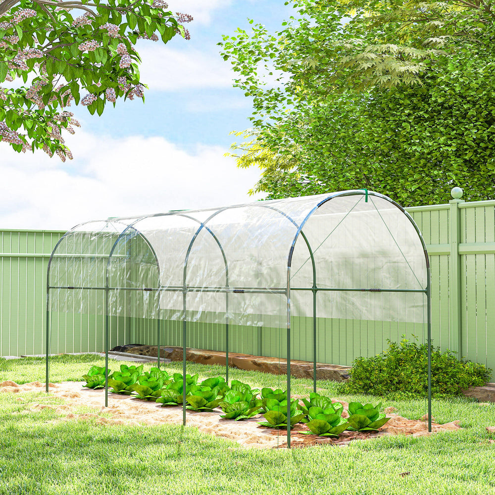 Tomato tunnel greenhouse with 4 hoops
