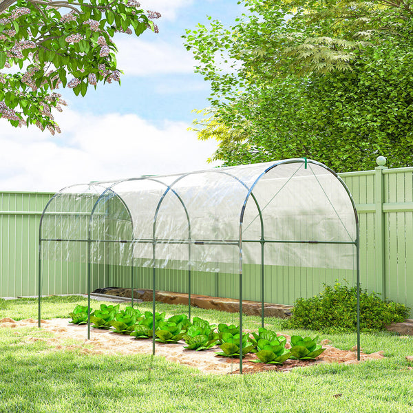 Serre tunnel à tomates avec 4 arceaux