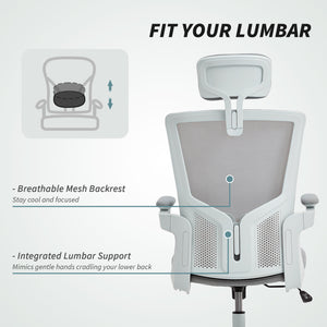 Ergonomic office chair with lumbar support and headrest, grey