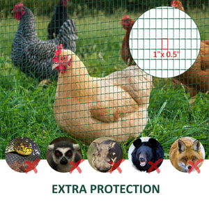 Grillage à poules, vert foncé