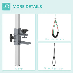 Adjustable grooming arm with clamp, hip supports, and grooming loop