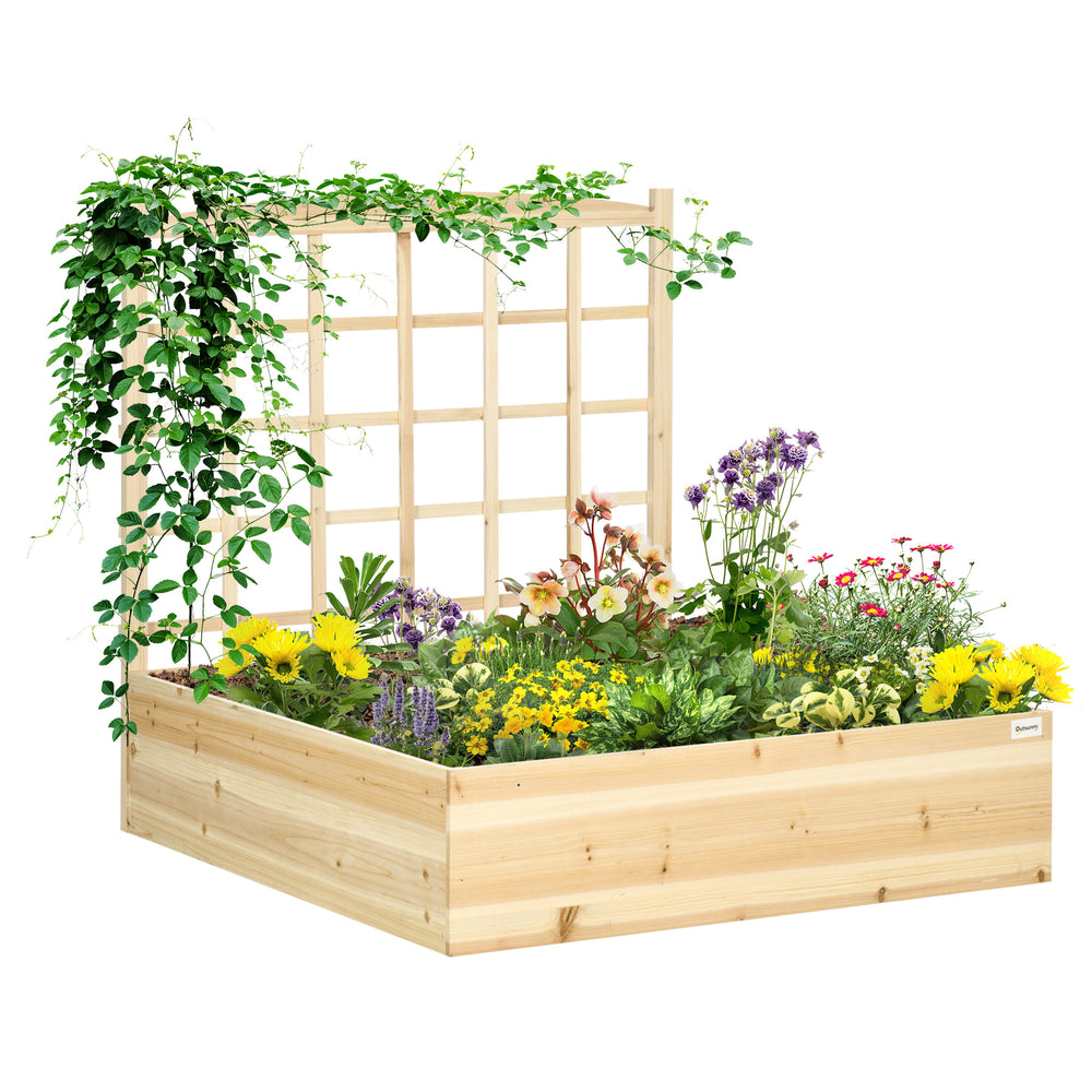 Raised wooden planter with trellis for climbing plants