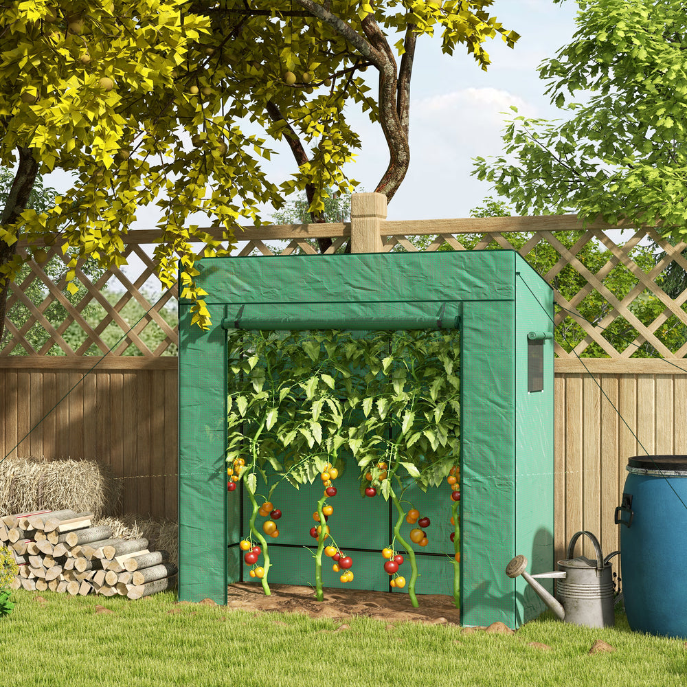 Green tomato greenhouse with reinforced PE cover