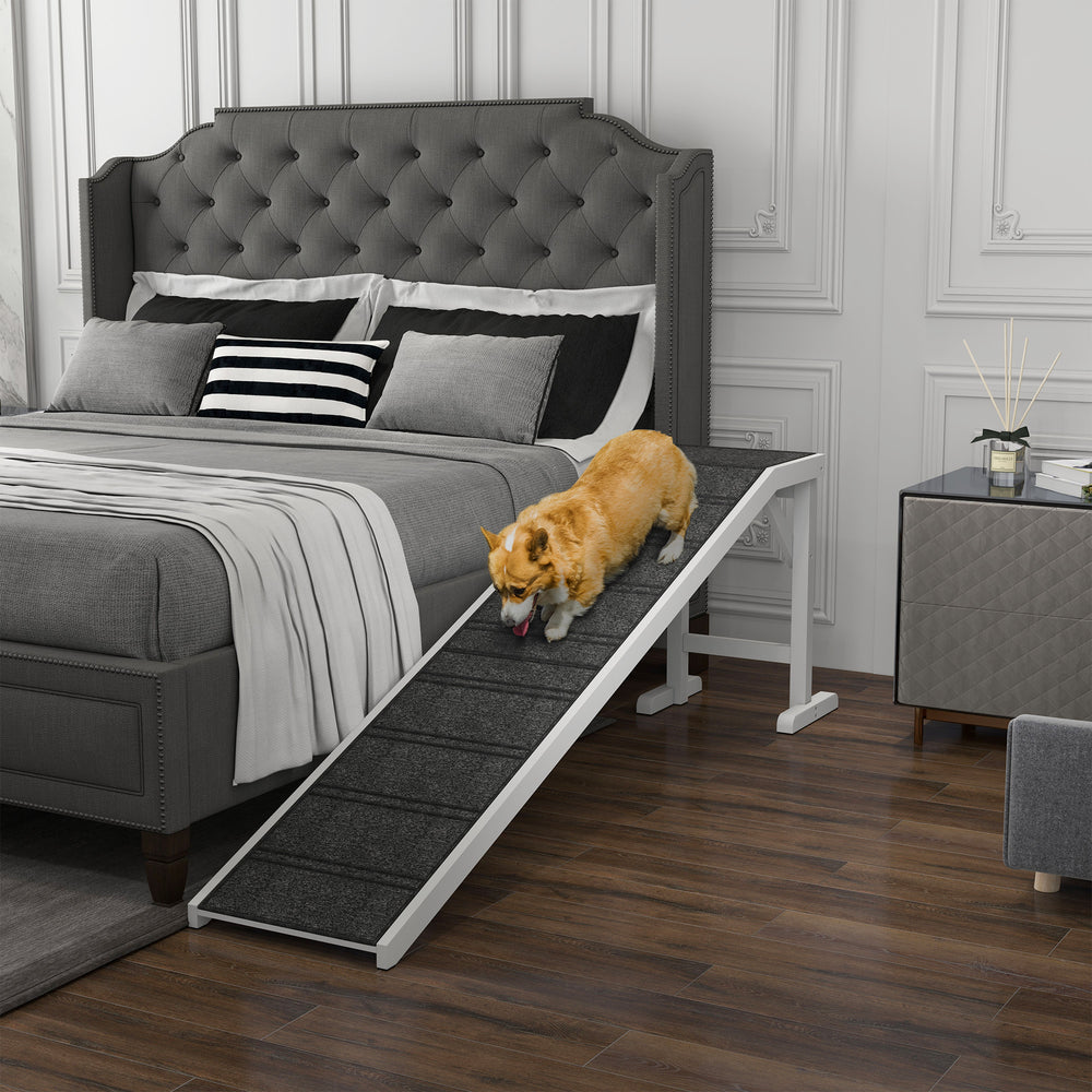 Pet ramp with anti-slip mat
