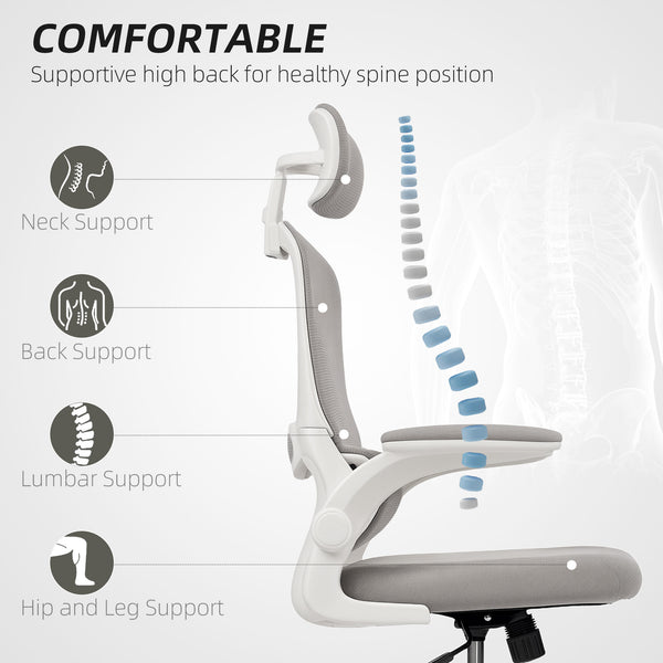 Ergonomic mesh office chair with lumbar support, grey
