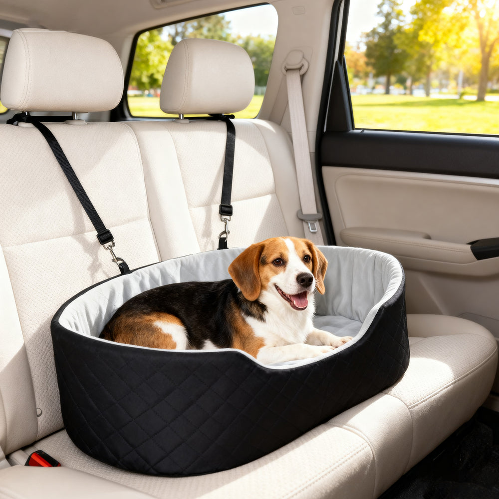 Siège auto pour chien avec coussin amovible et lavable, noir
