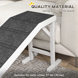 Pet ramp with anti-slip mat