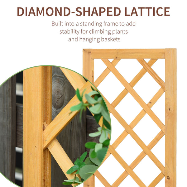 Set of 2 raised flower boxes with trellis