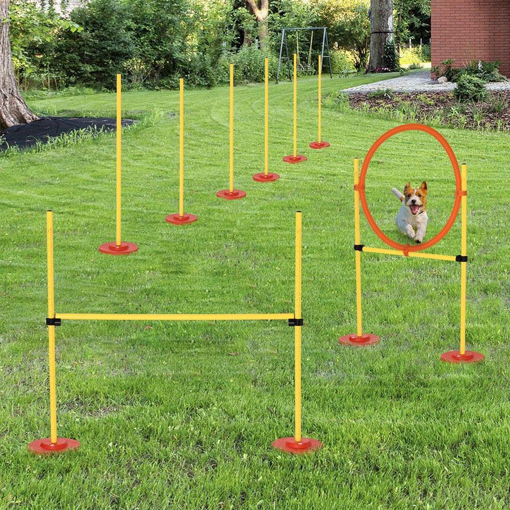 Ensemble d'obstacles portable pour l'entraînement d'agilité des chiens