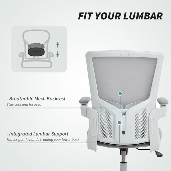 Ergonomic office chair with lumbar support, grey