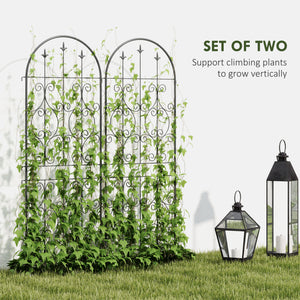 Ensemble de 2 treillis de jardin en métal, noir