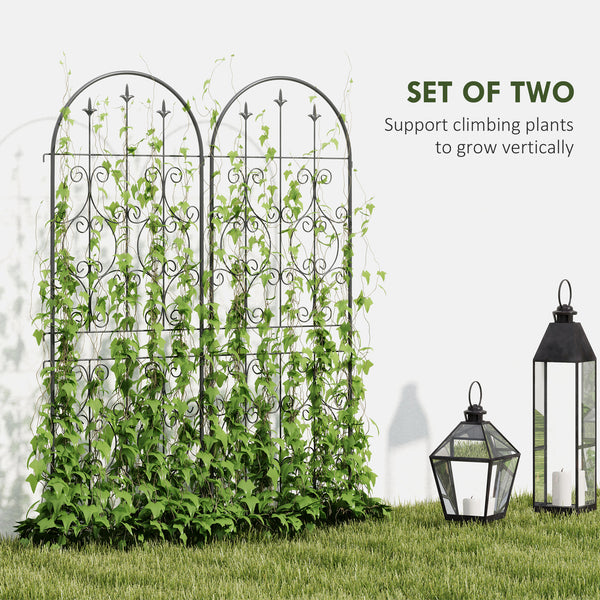 Ensemble de 2 treillis de jardin en métal, noir