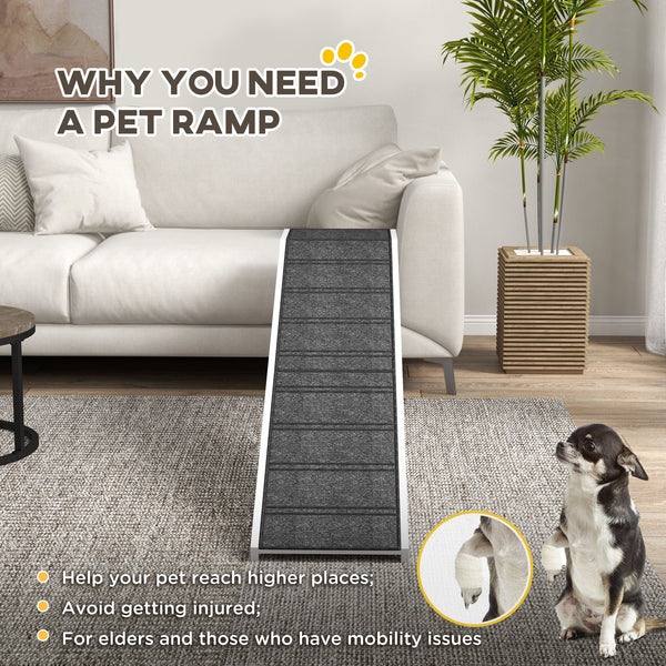 Pet ramp with anti-slip mat