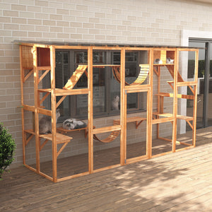 Large cat enclosure with niches, platforms, ladders and sturdy roof, orange.