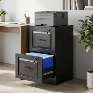 2-drawer vertical file cabinet with lock, with adjustable hanging rails for A4 and Letter sizes, black