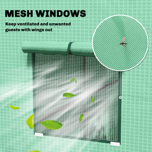 Green tomato greenhouse with reinforced PE cover