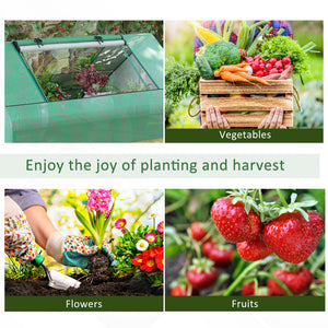 Portable mini greenhouse with 2 large windows and ground stakes