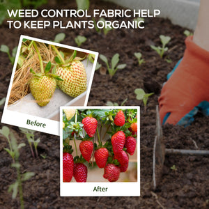 Toile de paillage 2 m x 50 m