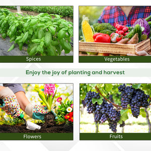 Grande serre de jardin pour semis, structure en acier de qualité supérieure