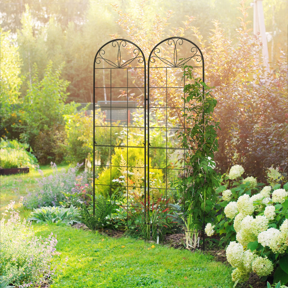 Lot de 2 treillis de jardin pour plantes grimpantes