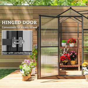6' x 8' x 6.4' Walk-In Greenhouse Polycarbonate Panels and Aluminum Frame, Anthracite Gray