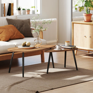 Ensemble de 2 tables basses industrielles avec pieds en acier, marron