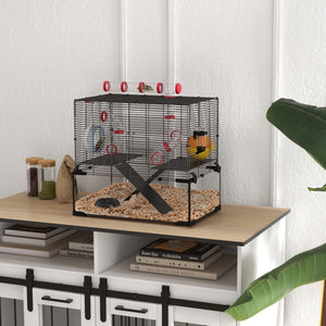 Cage avec fond en verre profond, système de tunnels, plateformes et niche
