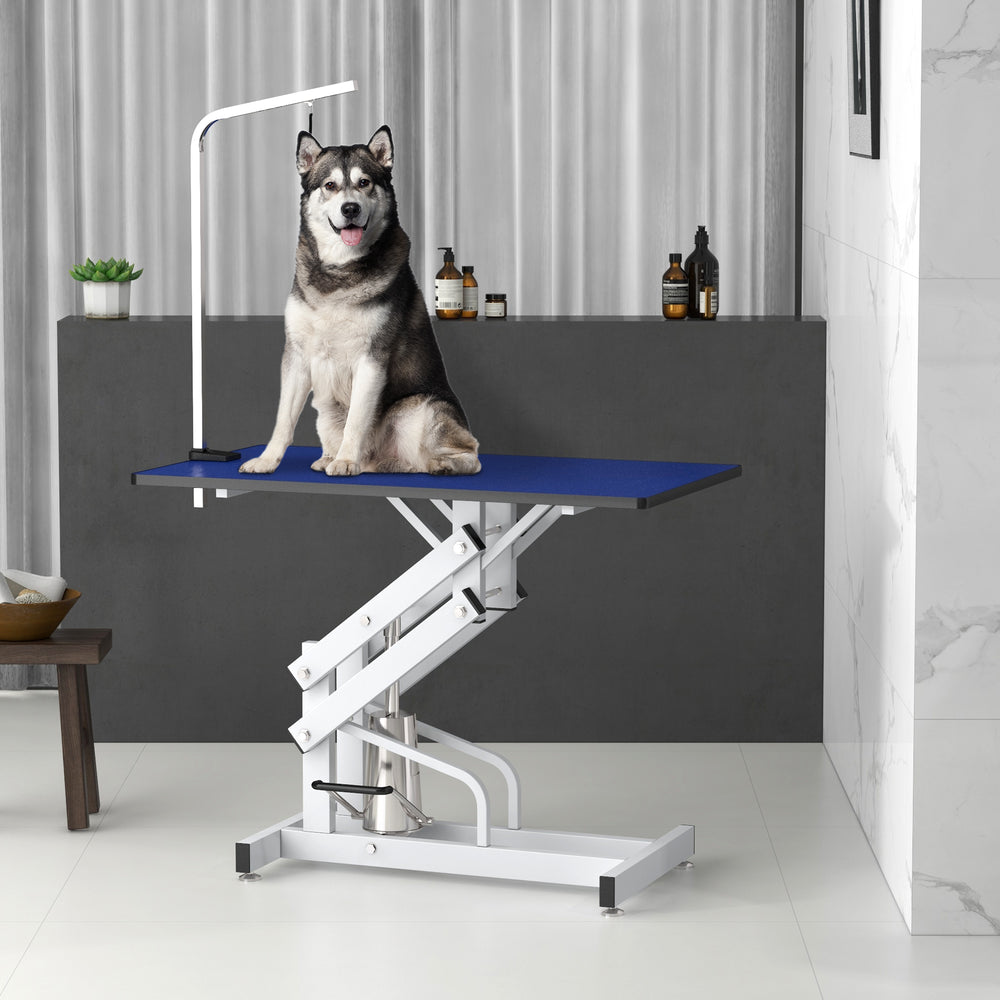 Table de toilettage pour animaux à hauteur réglable avec accoudoir, laisse et surface antidérapante, bleue