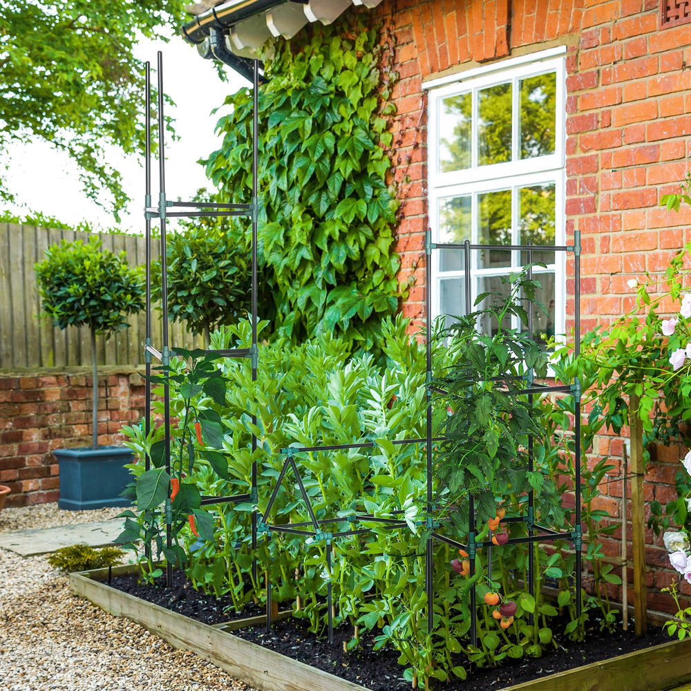 Lot de 3 support pour plants de tomates de 183 cm, pour légumes, fleurs et fruits grimpants, vert foncé